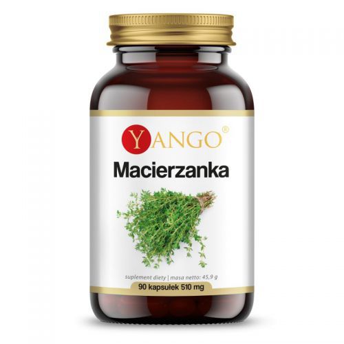 Yango Macierzanka 90 k 510 mg układ oddechowy