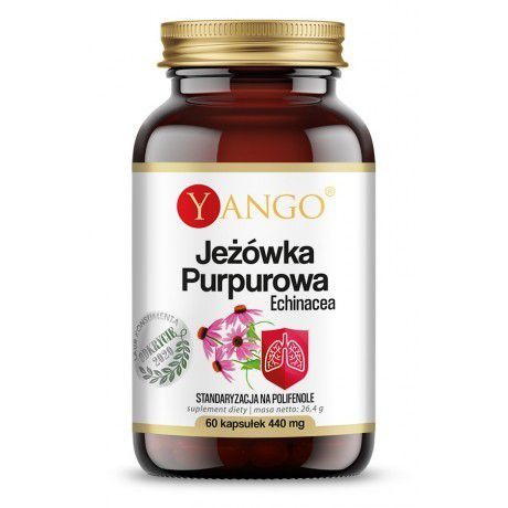 Yango Jeżówka purpurowa 60  odporność